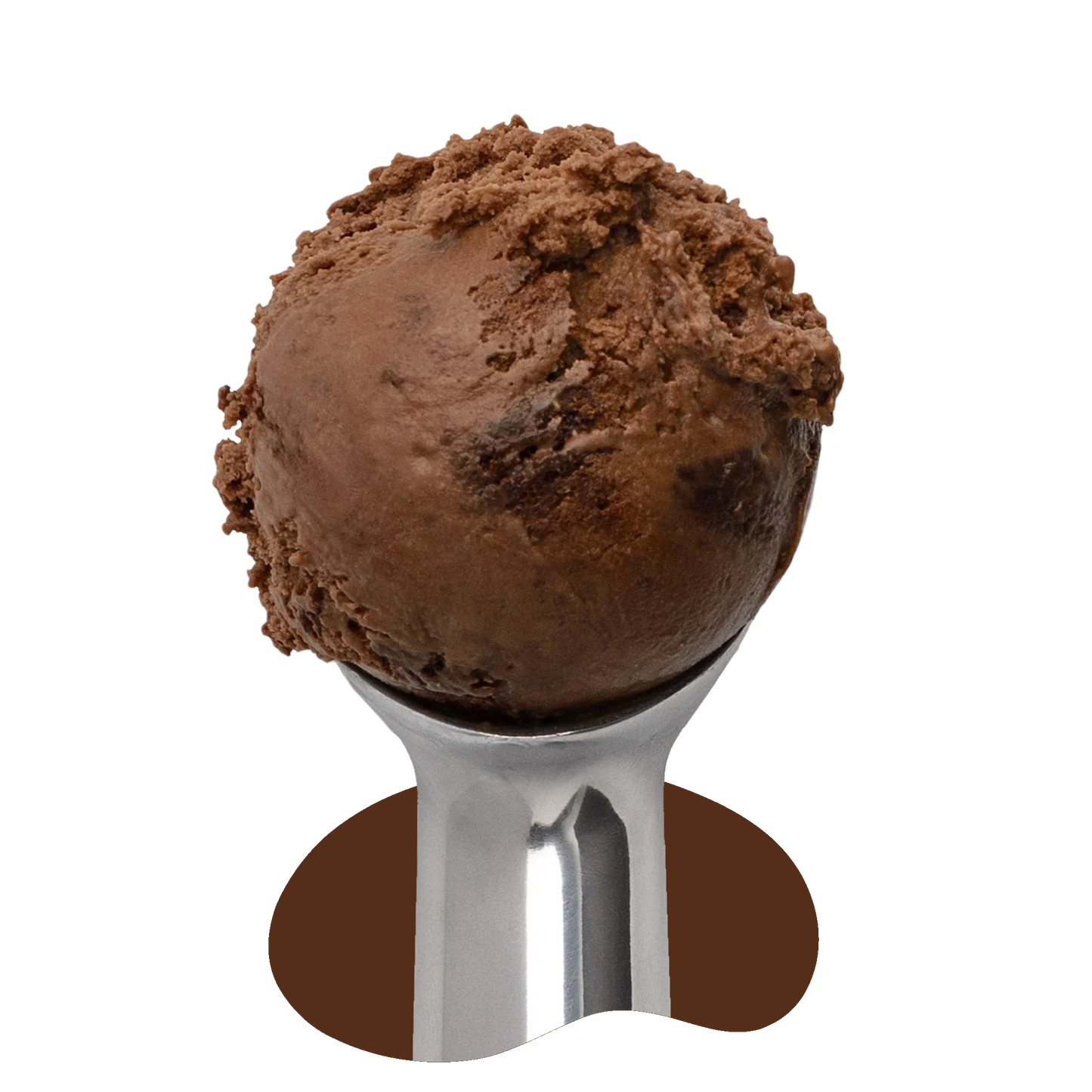 Chocolate Fudge Brownie (v)