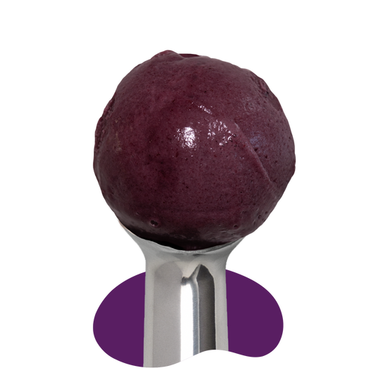 Vegan Concord Grape Freezie